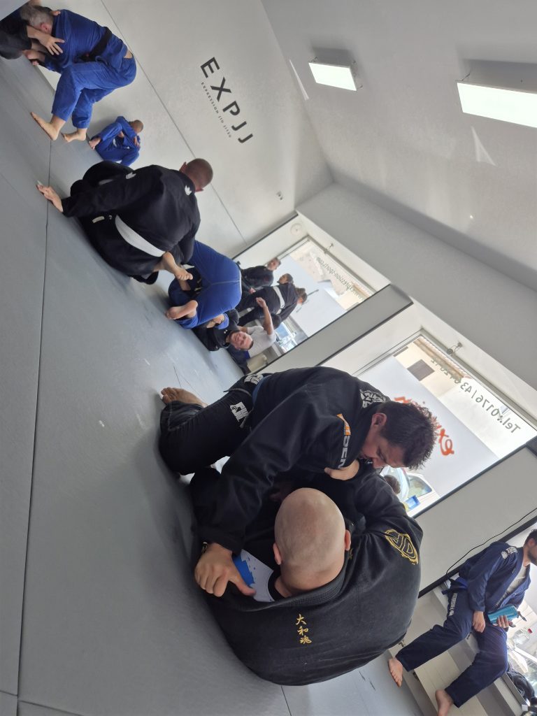 Was ist Brazilian Jiu Jitsu? BJJ Gruppenunterricht in Frankfurt
